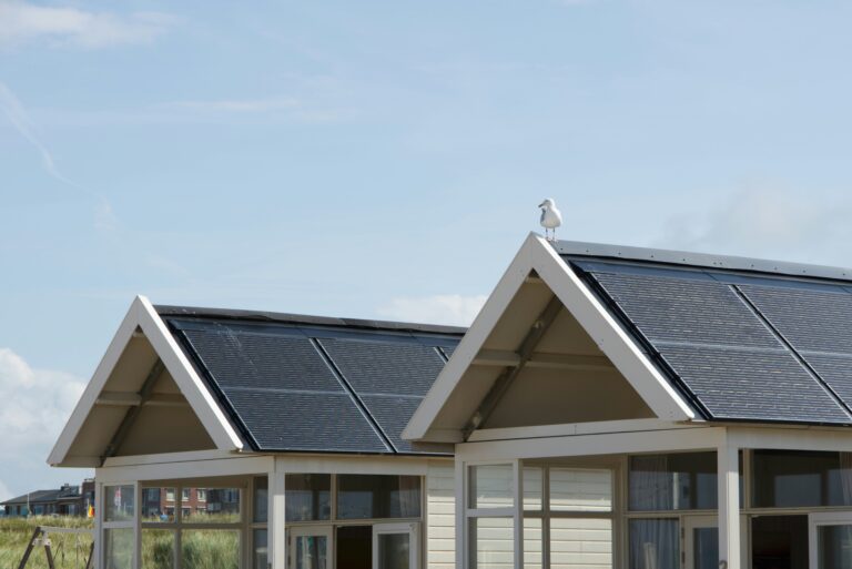 Modern home with solar panels installed on the roof, showcasing sustainable energy solutions and efficiency. A seagull sits on top, highlighting eco-friendly solar power benefits.